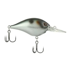 Berkley Dime 6 Crankbait