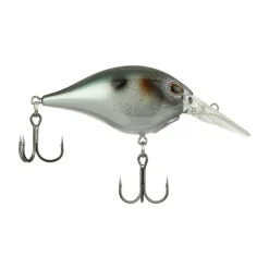 Berkley Dime 4 Crankbait