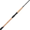 Fenwick World Class Inshore Spinning Rod Heavy Duty