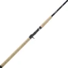 G. Loomis Salmon Backbounce Fishing Rod SABBR965C