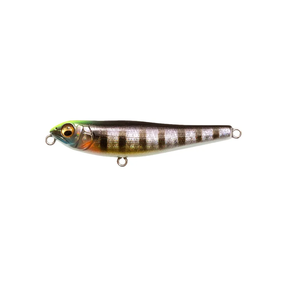 Megabass Dog-X Jr. Coayu BFS