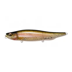 Megabass Megadog