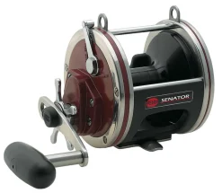 Penn Special Senator Star Drag Conventional Reels
