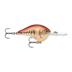 Rapala DT Series Crankbaits