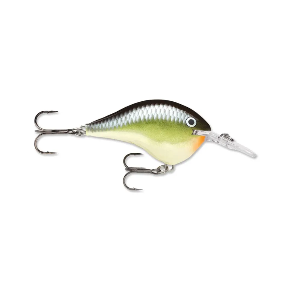 Rapala DT Series Crankbaits
