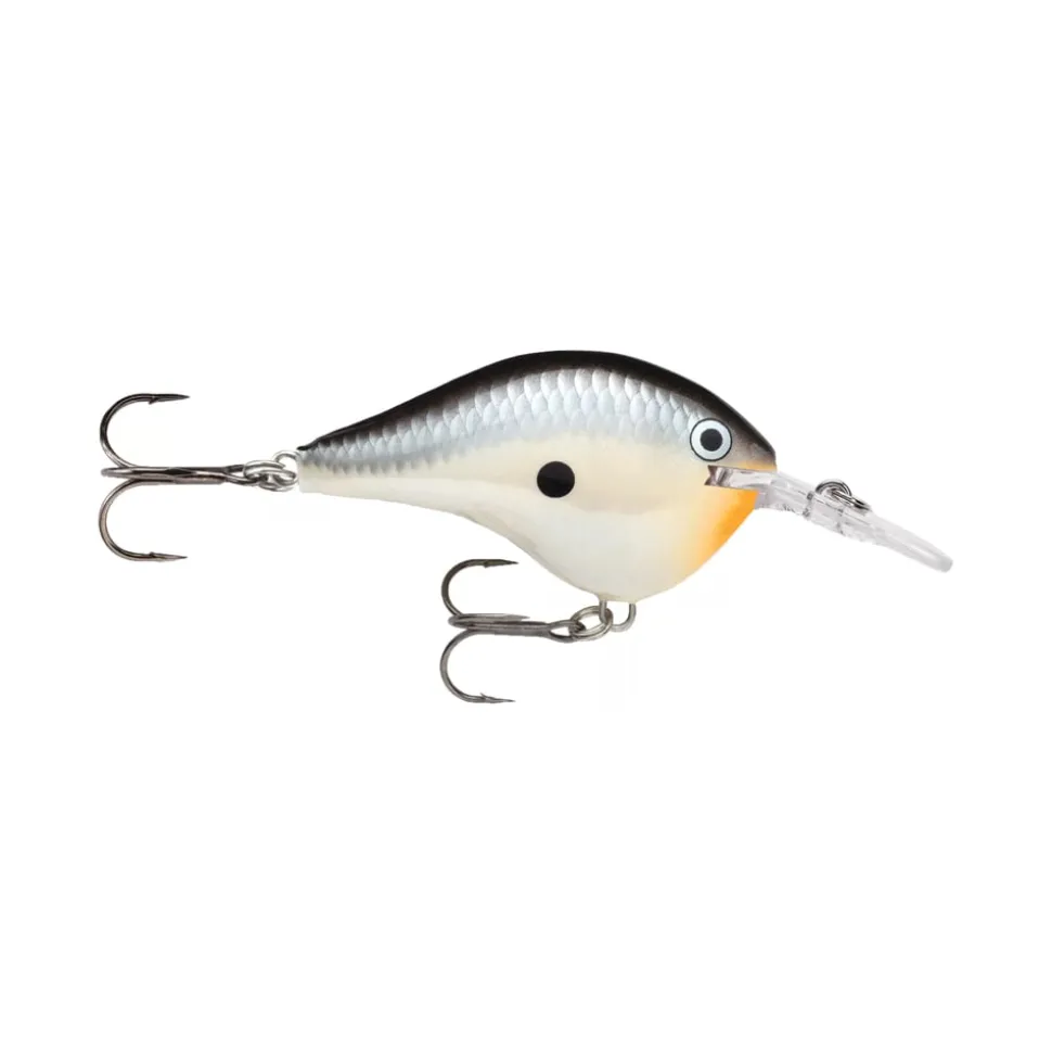 Rapala DT Series Crankbaits