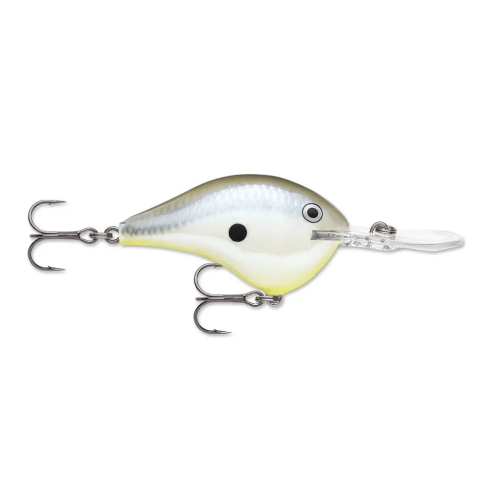 Rapala DT Series Crankbaits