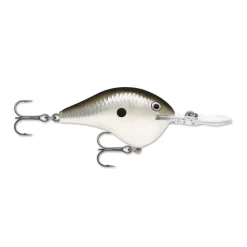 Rapala DT Series Crankbaits