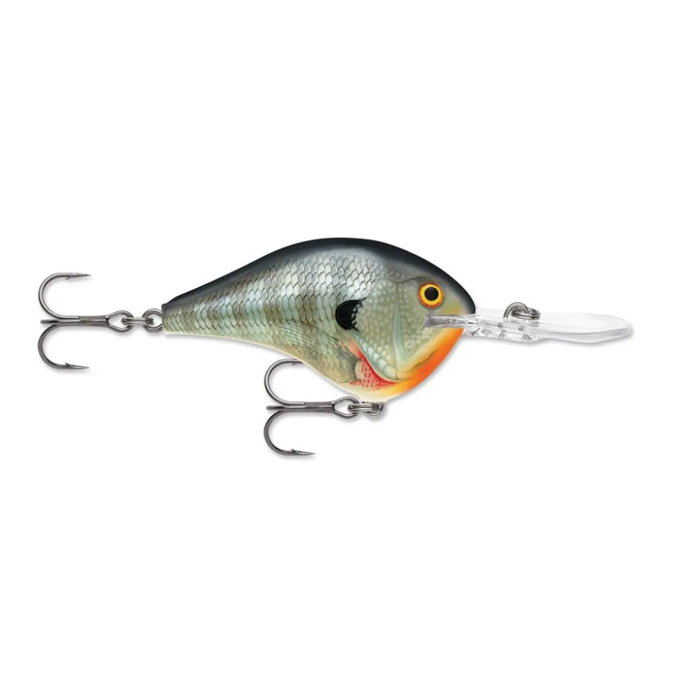 Rapala DT Series Crankbaits