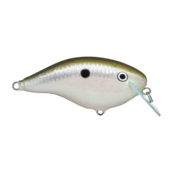 Rapala OG Big Rocco 6 Crankbait