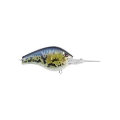 Spro Fat Papa 70 Crankbait
