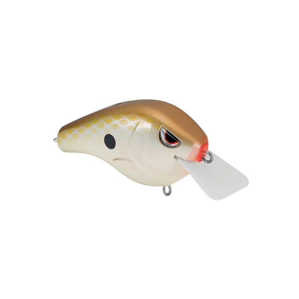 Spro Fat Papa Squarebill Crankbait