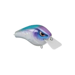 Spro Fat Papa Squarebill Crankbait