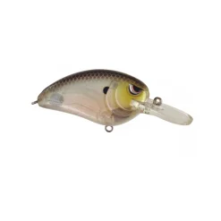 Spro Little John MD Crankbaits