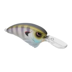 Spro Outsider Crank MR 60 Crankbait