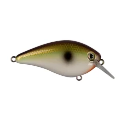 Strike King KVD 1.5 Hard Knock Squarebill Crankbait