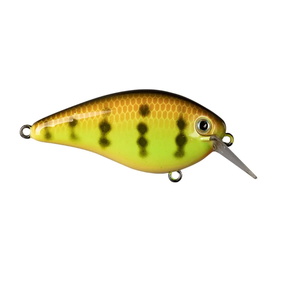 Strike King KVD 1.5 Hard Knock Squarebill Crankbait