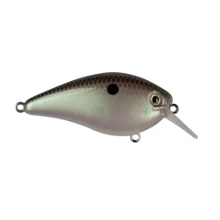 Strike King KVD 1.5 Hard Knock Squarebill Crankbait