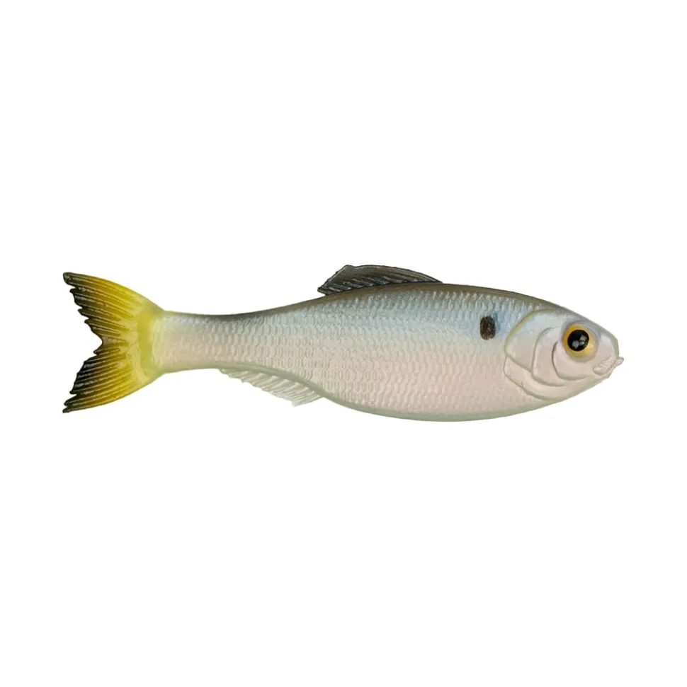 6th Sense Panorama Baitfish