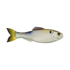 6th Sense Panorama Baitfish