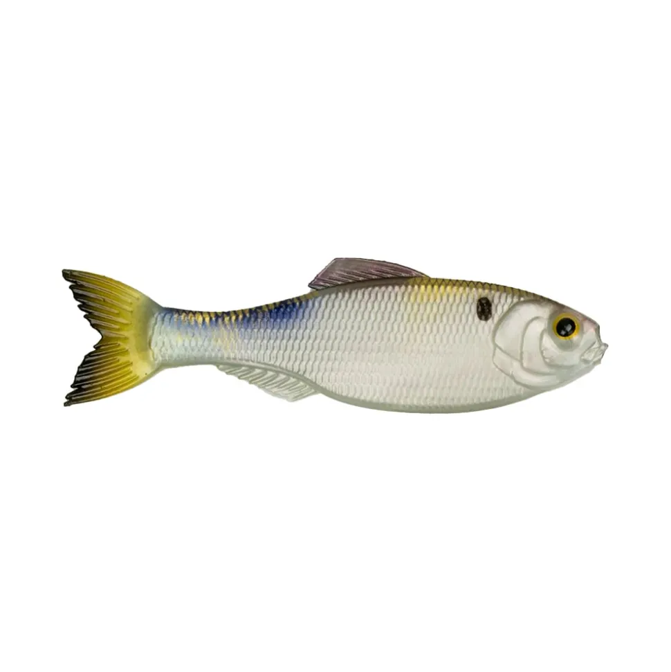 6th Sense Panorama Baitfish