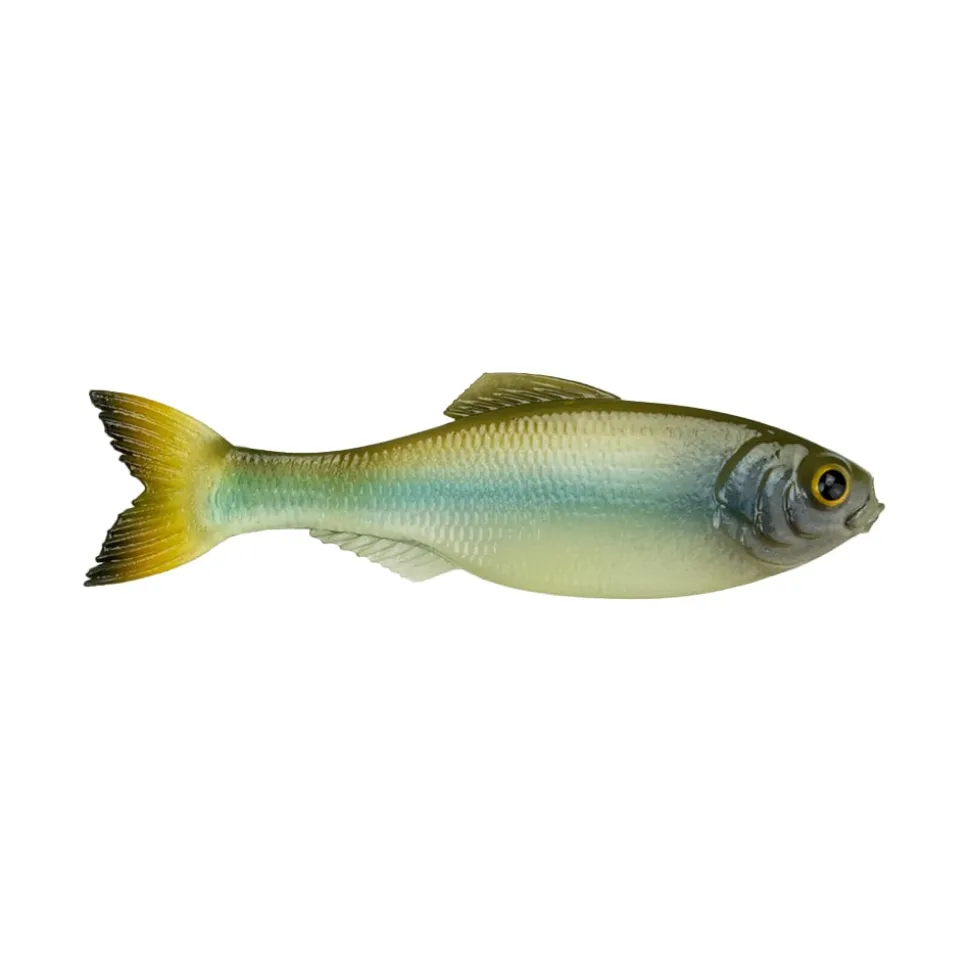 6th Sense Panorama Baitfish