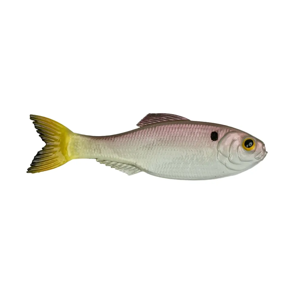 6th Sense Panorama Baitfish