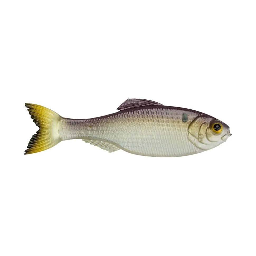 6th Sense Panorama Baitfish