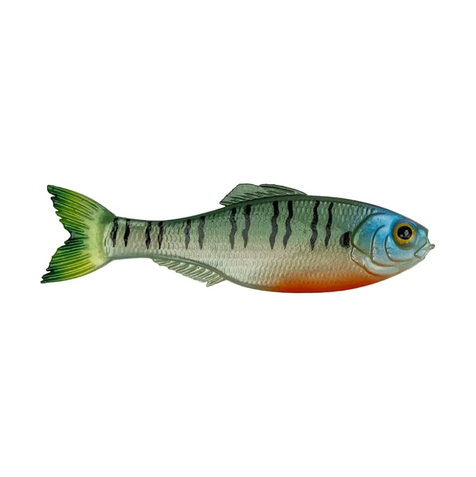 6th Sense Panorama Baitfish