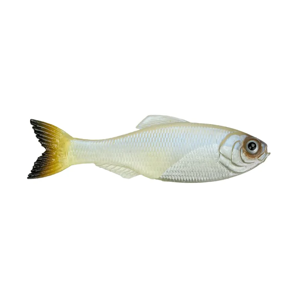 6th Sense Panorama Baitfish