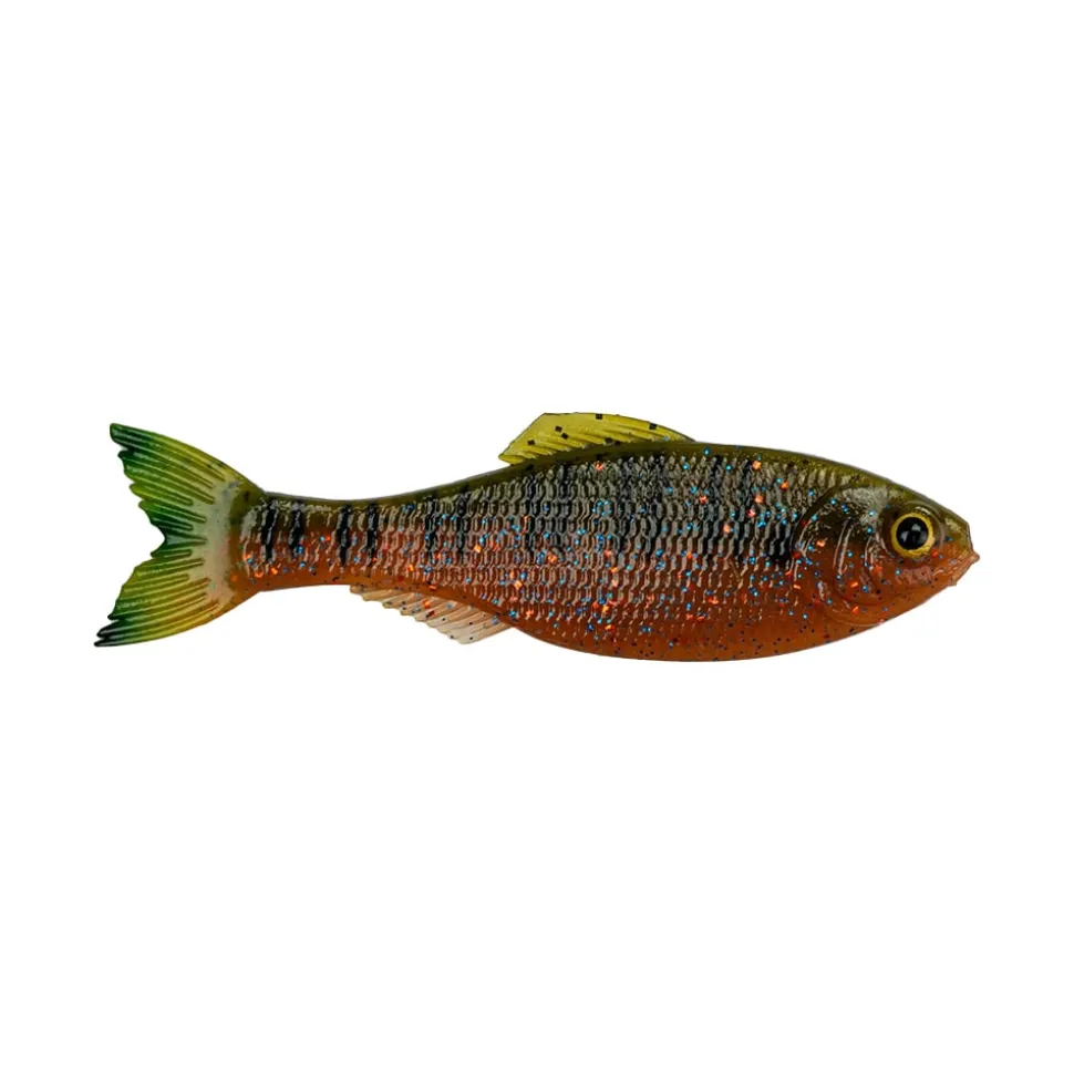 6th Sense Panorama Baitfish