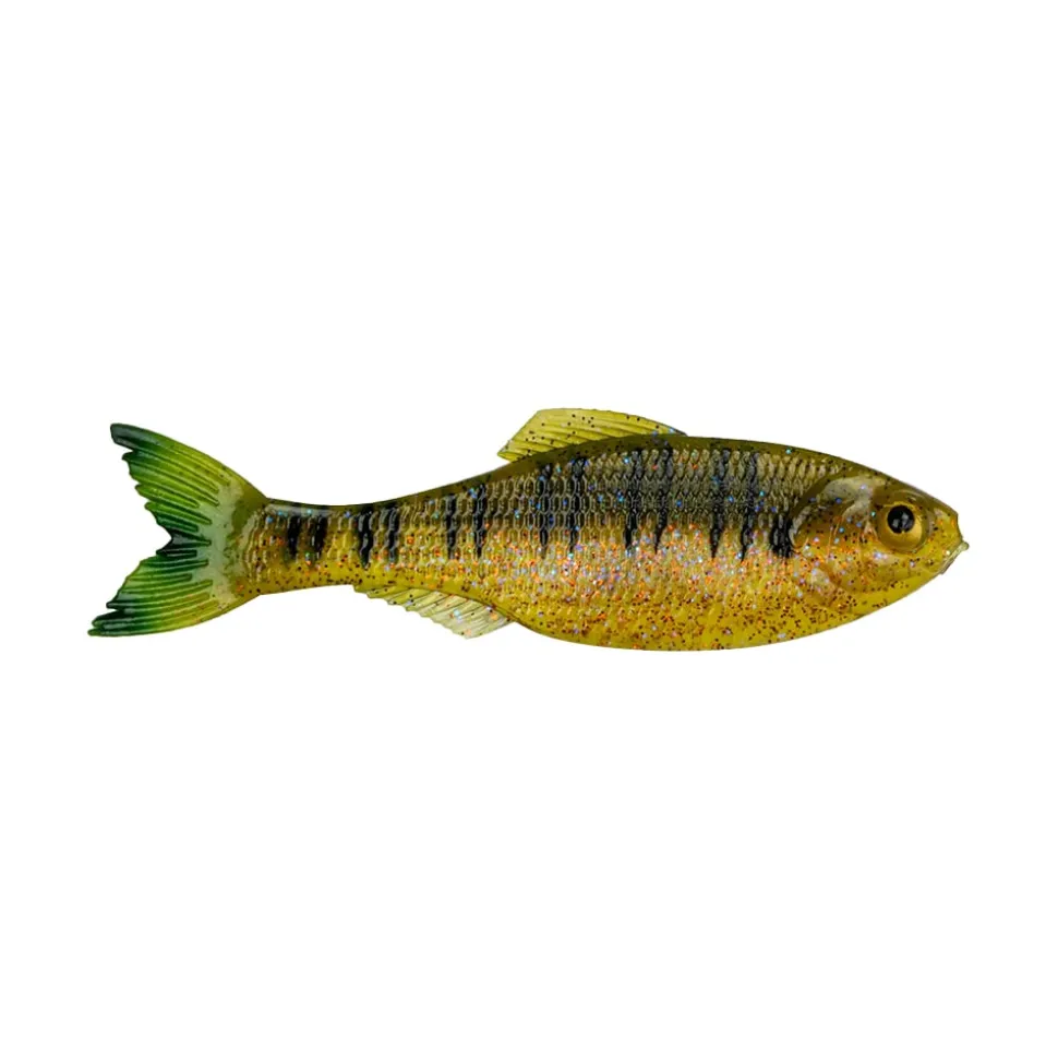 6th Sense Panorama Baitfish