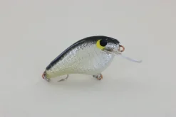 WE Baits #2 Black Back
