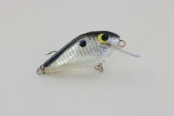 WE Baits #3 Black Back