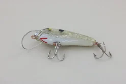 WE Baits #3 Grey Back